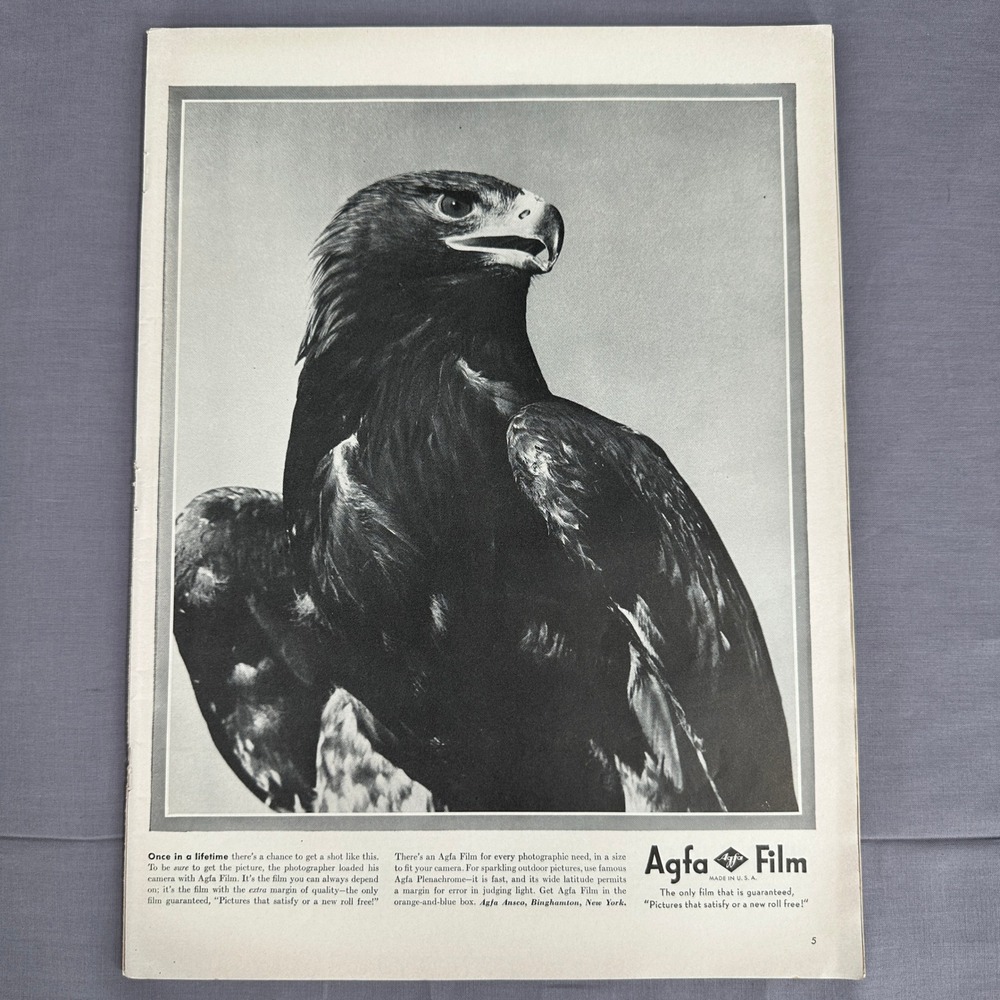 Golden Eagle 1941 Agfa Film Vintage Print Ad Art Illustration Bird Photography